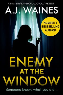 Enemy at the Window book cover image
