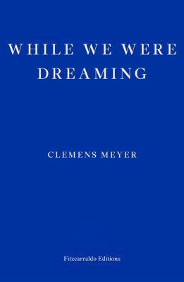While We Were Dreaming book cover image