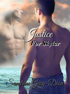 Justice for Skylar book cover image