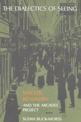 The Dialectics of Seeing book cover image