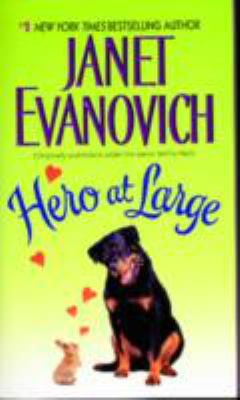 Hero at Large book cover image