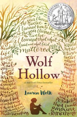 Wolf Hollow book cover image