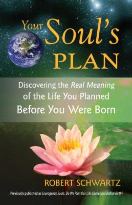 Your Soul's Plan book cover image