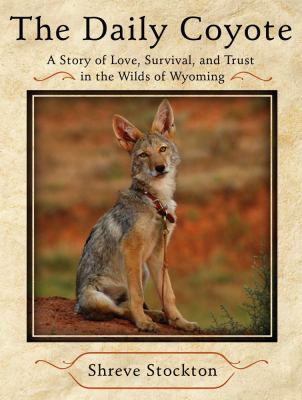 The Daily Coyote book cover image