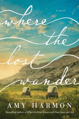 Where the Lost Wander book cover image