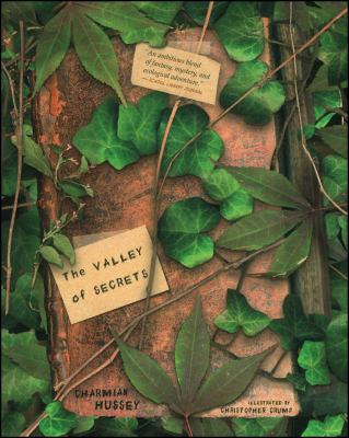 The Valley of Secrets book cover image