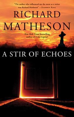 A Stir of Echoes book cover image
