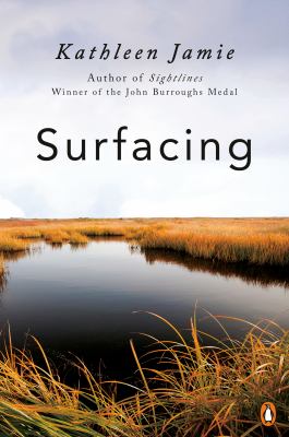 Surfacing book cover image