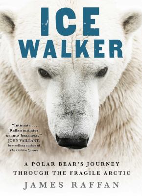Ice Walker book cover image