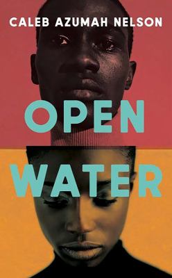 Open Water book cover image
