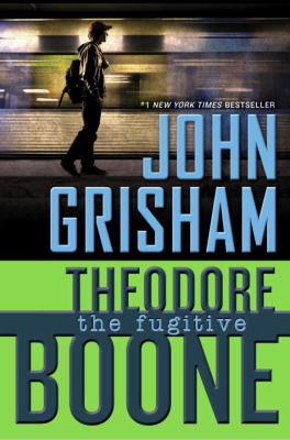 The Fugitive book cover image